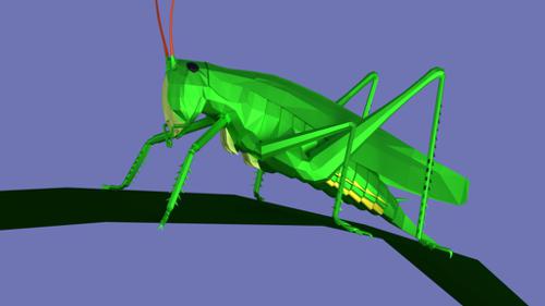 Grasshopper preview image